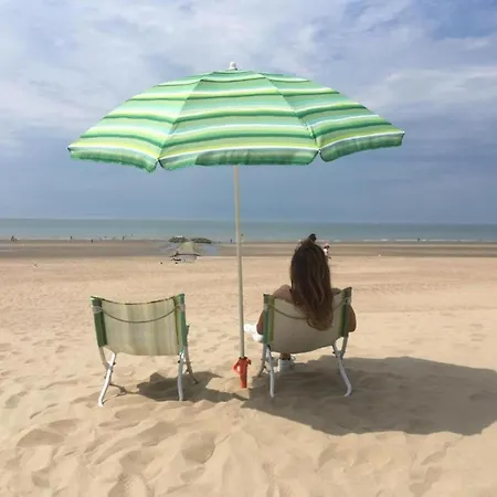In Near The Sea, Cleaning Included Apartmán Koksijde