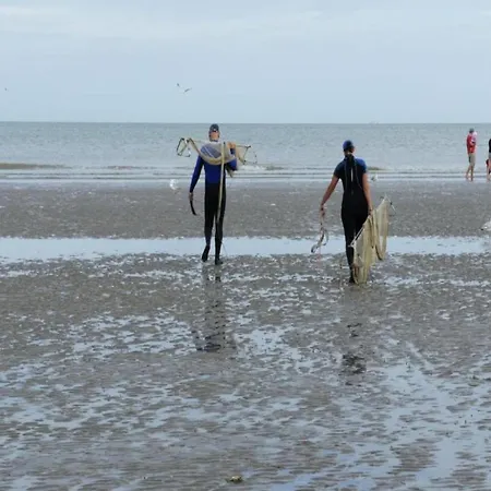 Apartmán In Near The Sea, Cleaning Included Koksijde