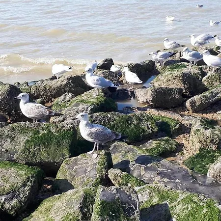 In Near The Sea, Cleaning Included *