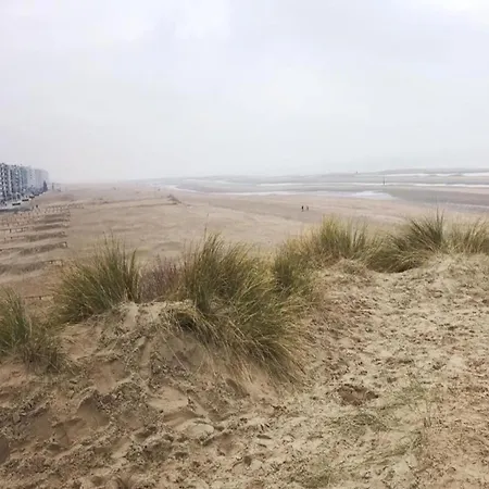 In Near The Sea, Cleaning Included